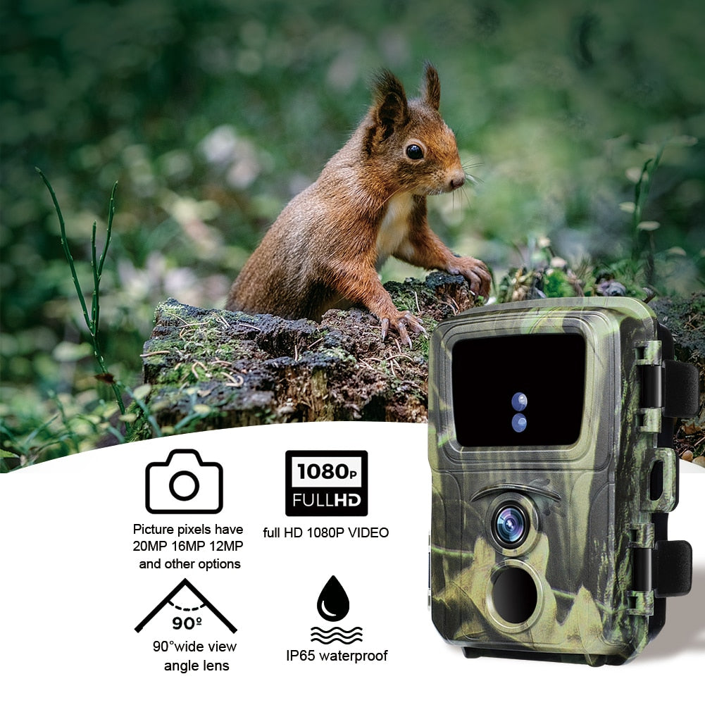 Compact Wildlife Hunting Camera | Night Vision Trail Cam