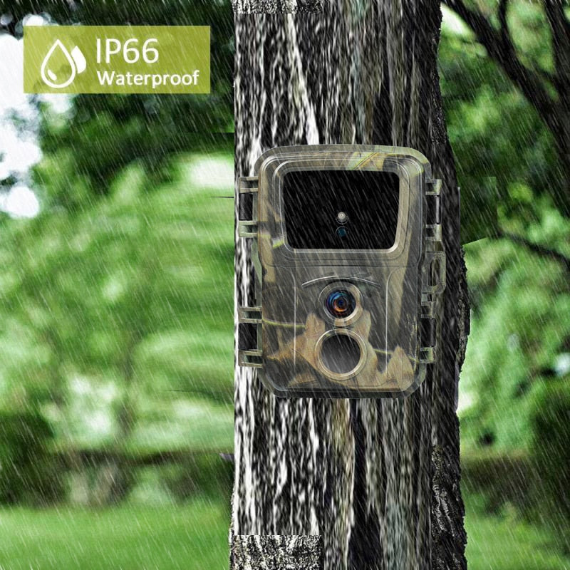 Compact Wildlife Hunting Camera | Night Vision Trail Cam